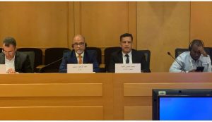 Read more about the article لعراق يشارك في ورشة العمل الاقليمية حول الاستعراضات الطوعية للتنمية المستدامة في المنطقة العربية