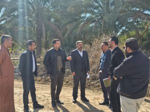 Read more about the article المباشرة بتنفيذ مشاريع الصندوق الاجتماعي للتنمية في محافظتي النجف الاشرف وكربلاء المقدسة